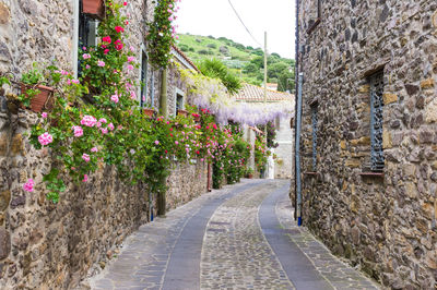 Street amidst buildings against wall