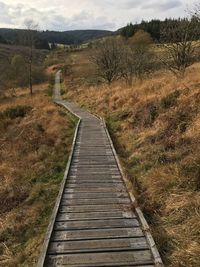 Footpath leading towards trees on landscape