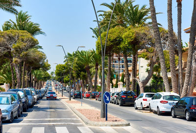Cars on road amidst trees against clear blue sky