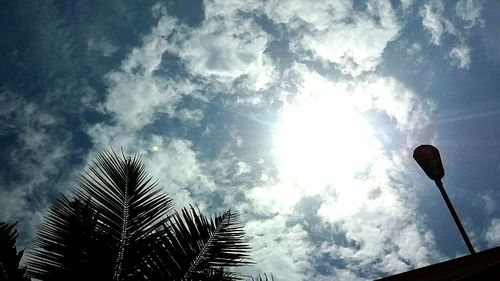 Low angle view of silhouette palm trees against sky