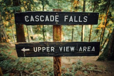 Close-up of wooden signboard on tree in forest