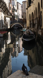 Boats moored on shore