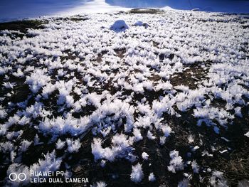 Snow on beach