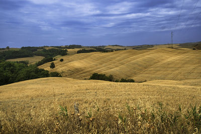 Scenic view of agricultural field against sky