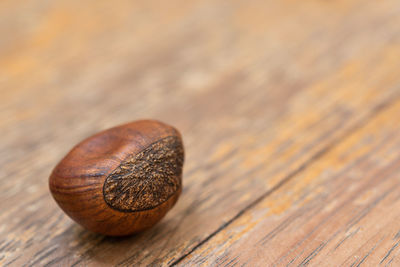 High angle view of shell on table