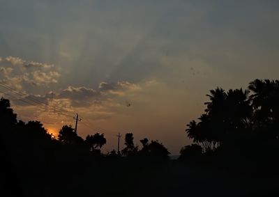 Silhouette of trees at sunset