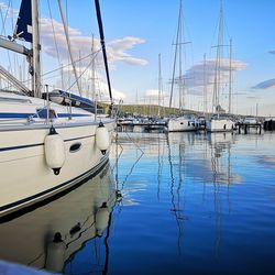 Sailboats moored in harbor