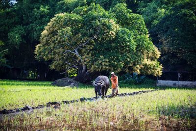 Man with dog in the forest