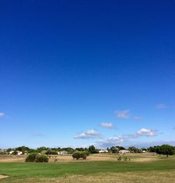 Golf course les portes en ré