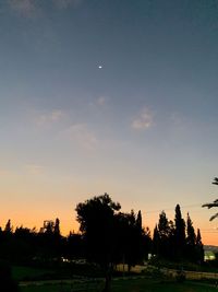 Silhouette trees on field against sky at sunset