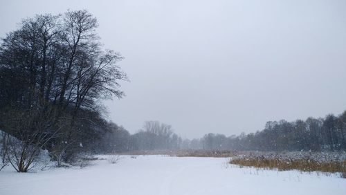 Bare trees on snow covered field against sky