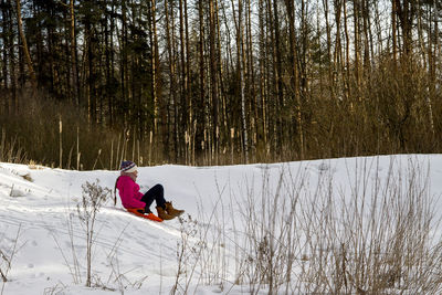 Side view of teenage girl sledding on snow against trees