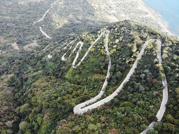 High angle view of winding road amidst trees in forest