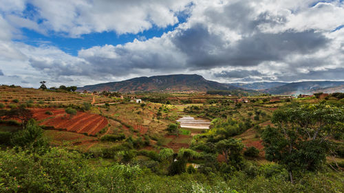 Scenic view of field against sky