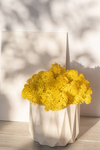 Close-up of yellow flowering plant on table