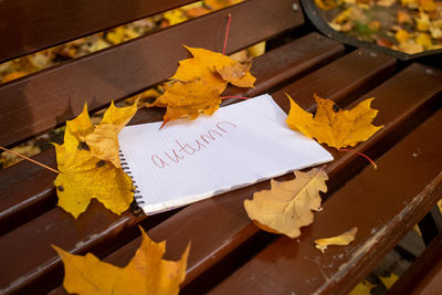 High angle view of yellow leaves on table