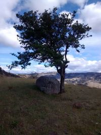 Scenic view of landscape against cloudy sky