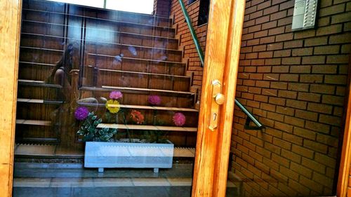 Potted plant on window of building