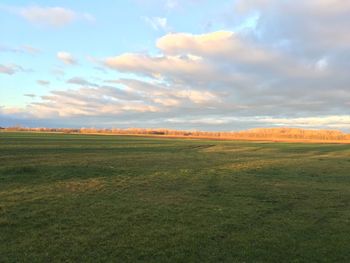 Scenic view of field against sky