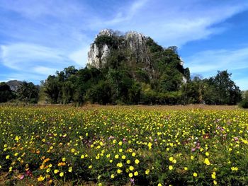 Beautiful view of natural beauty at saraburi, thailand