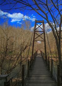 Road leading towards bare trees against sky