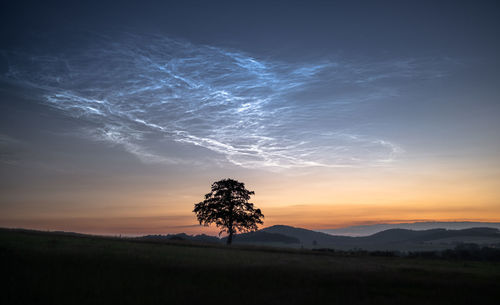 Silhouette tree on field against sky during sunset