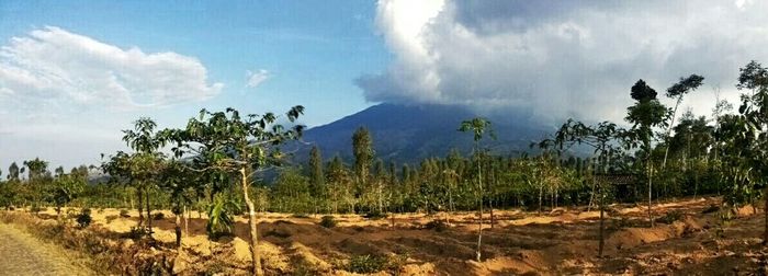 Scenic view of landscape against cloudy sky