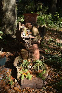 Statue on potted plant