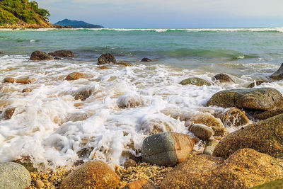 Scenic view of sea shore against sky