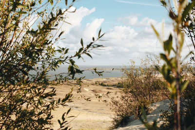 Scenic view of beach against sky