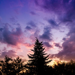 Low angle view of silhouette trees against sky during sunset