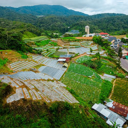 High angle view of agricultural field by buildings