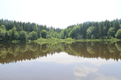 Scenic view of lake by trees against sky