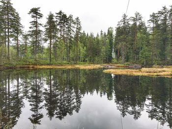 Reflection of trees in lake against sky