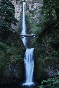 Low angle view of waterfall in forest