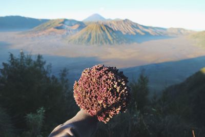 Person holding umbrella on mountain against sky