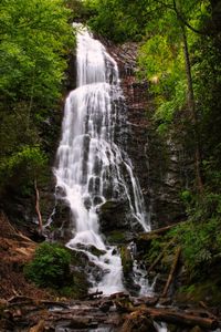 Scenic view of waterfall in forest