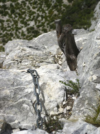 Close-up of rock