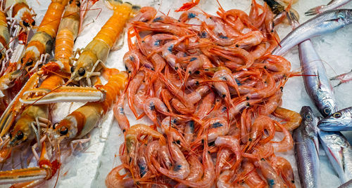 Seafood on ice at the fish market