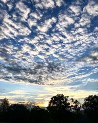 Low angle view of silhouette trees against sky during sunset