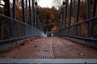 View of footbridge in forest