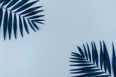 Close-up of palm leaf against blue sky