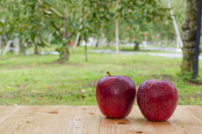 Close-up of apple on table