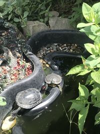 High angle view of water flowing in garden