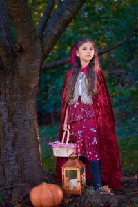 Portrait of girl wearing costume standing in forest