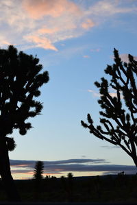 Silhouette of trees and landscape against sky