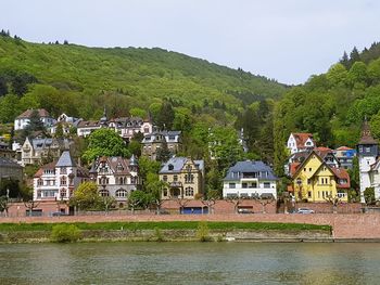 Houses in a town