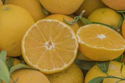 High angle view of fruits