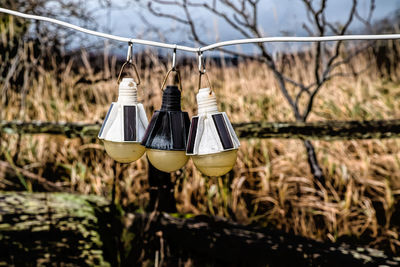 Close-up of clothes hanging on rope against trees