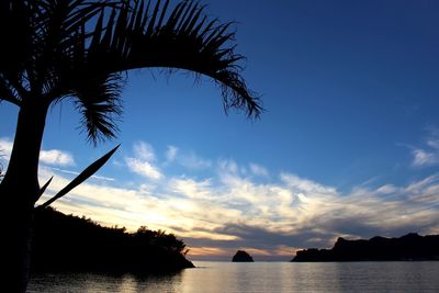 Silhouette palm tree by sea against sky during sunset